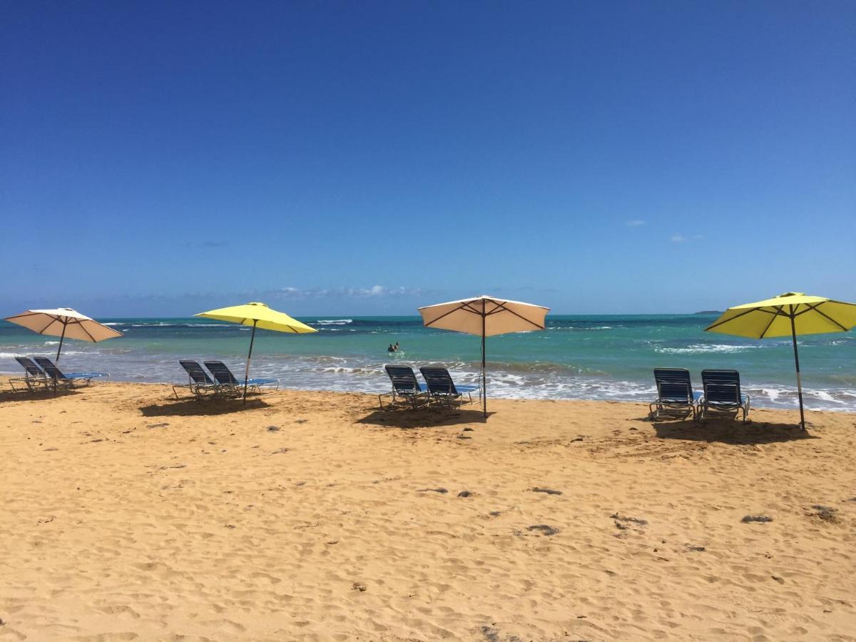 Apartmán Blue Leaf By The Sea Luquillo Exteriér fotografie