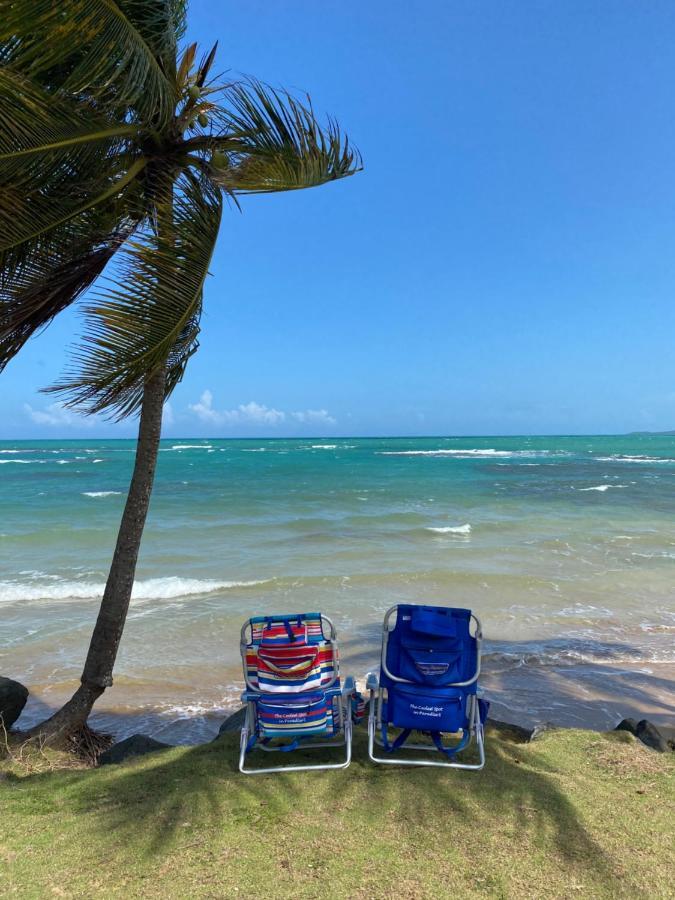 Apartmán Blue Leaf By The Sea Luquillo Exteriér fotografie